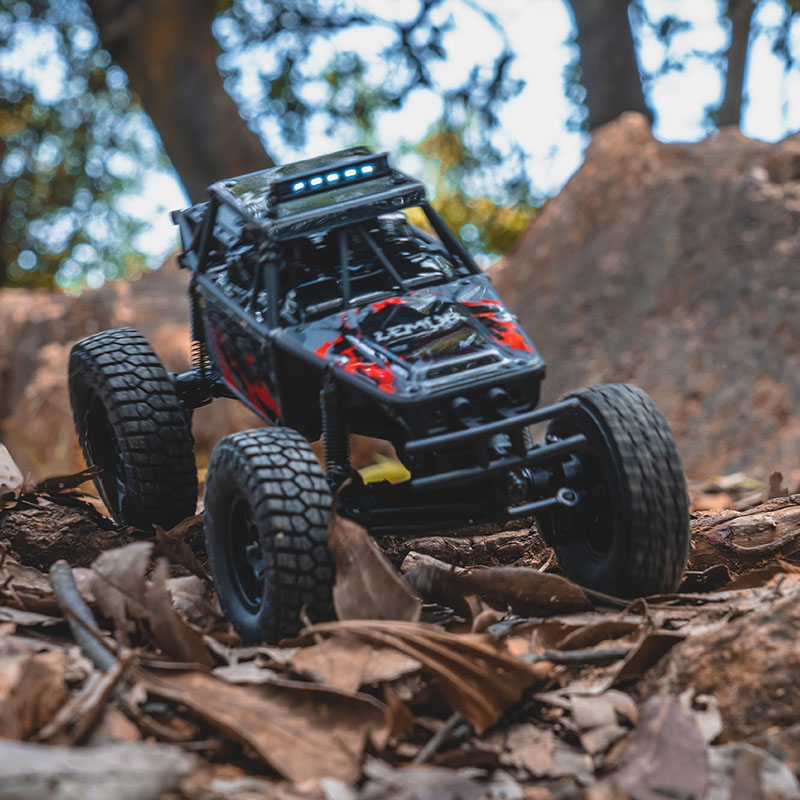 FMS FCX24 Lemur 1:24, Modelo d - Rc Hobby Grade Crawler reseña y precio
